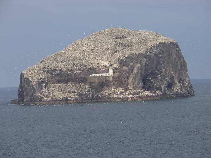 Bass Rock