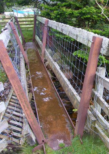 Schmale Brücke